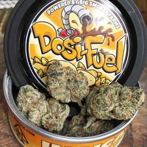 Dosi Fuel Cans By Big Smoking Farm