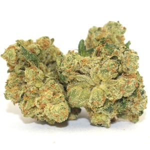 Quantum Kush sativa cannabis