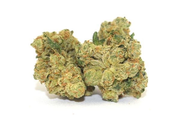 Quantum Kush sativa cannabis