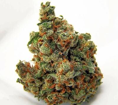 Kali Mist Strain