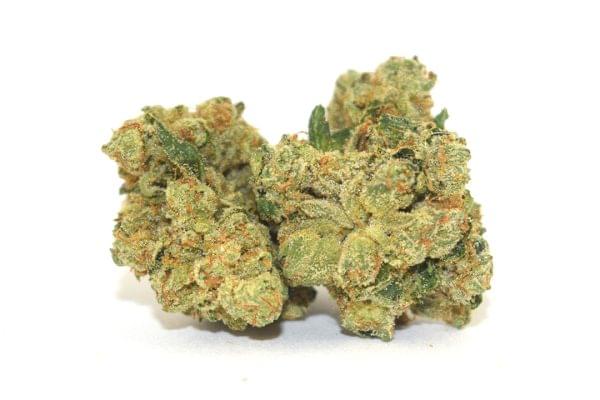 Quantum Kush sativa cannabis