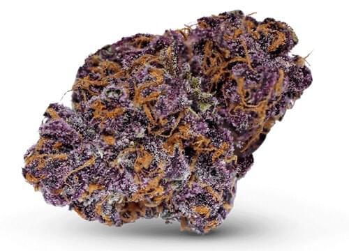 Purple Haze Kush